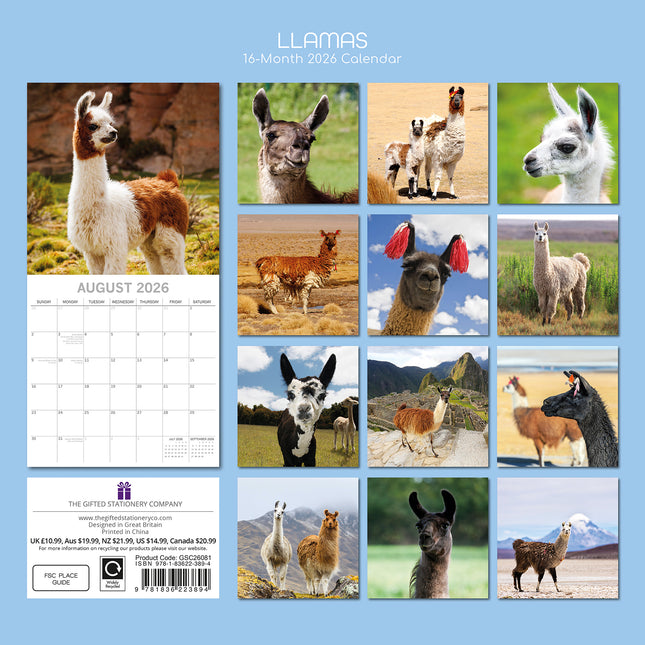 Llamas - 2026 Square Wall Calendar Pets Animals 16 Months Premium Planner Gift