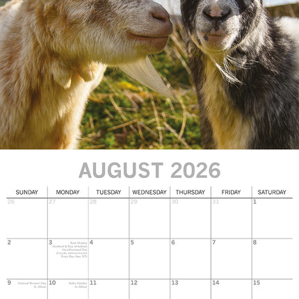 Best Friends - 2026 Square Wall Calendar Pets Animals 16 Months Premium Planner