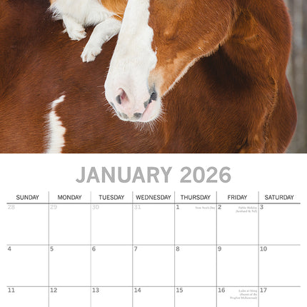 Best Friends - 2026 Square Wall Calendar Pets Animals 16 Months Premium Planner