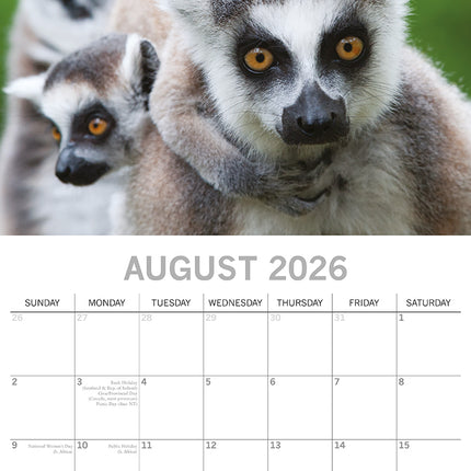 Hugs 2026 Square Wall Calendar Pets Baby Animals 16 Months New Year Home Planner