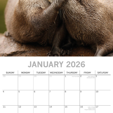 Hugs 2026 Square Wall Calendar Pets Baby Animals 16 Months New Year Home Planner