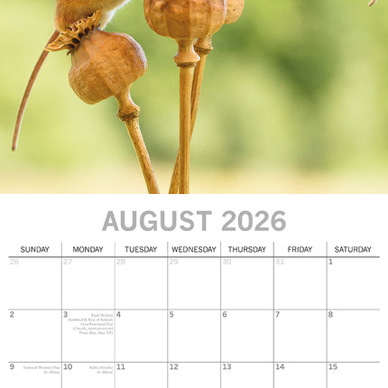 Kisses - 2026 Square Wall Calendar Dogs Pets Animals 16 Months Premium Planner