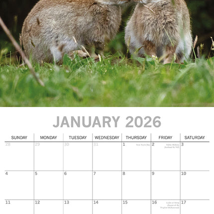 Kisses - 2026 Square Wall Calendar Dogs Pets Animals 16 Months Premium Planner