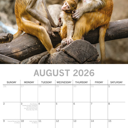 Mother's Love - 2026 Square Wall Calendar Pets Animals 16 Months Premium Planner