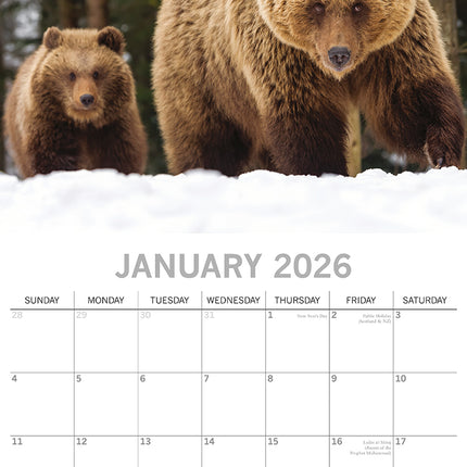 Mother's Love - 2026 Square Wall Calendar Pets Animals 16 Months Premium Planner