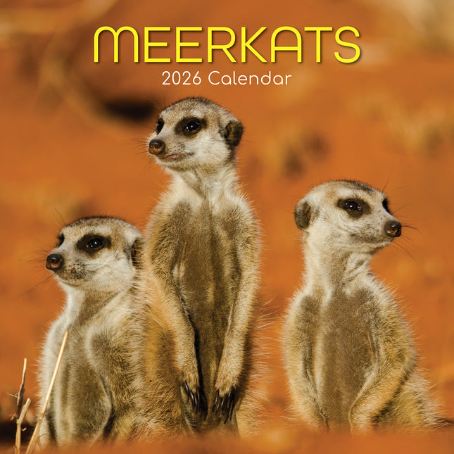Meerkats - 2026 Square Wall Calendar Pets Animals 16 Months Premium Planner Gift