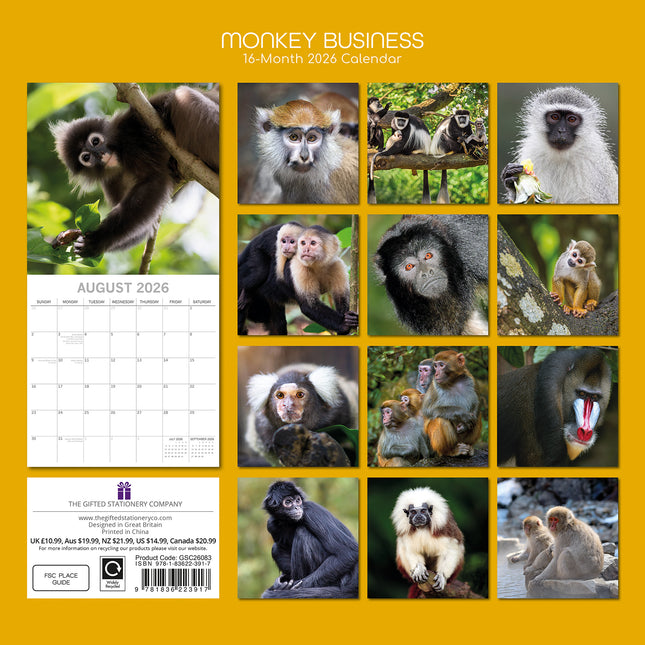Monkey Business 2026 Square Wall Calendar Pets Animals 16 Months Premium Planner