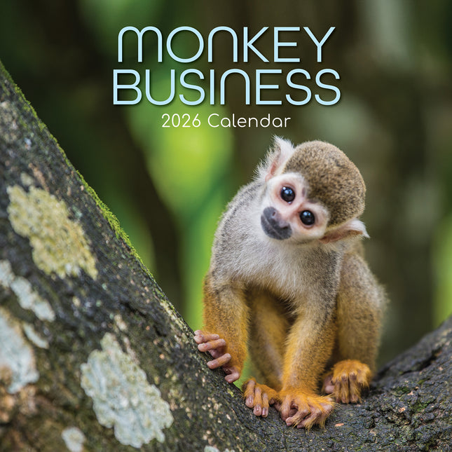 Monkey Business 2026 Square Wall Calendar Pets Animals 16 Months Premium Planner