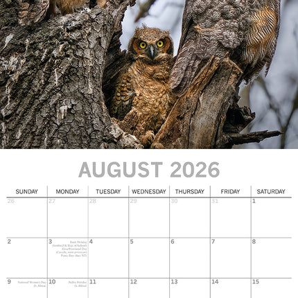 Owls - 2026 Square Wall Calendar Pets Animals 16 Months Premium Planner Gift