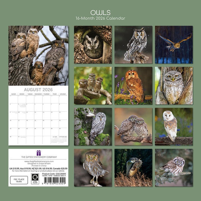 Owls - 2026 Square Wall Calendar Pets Animals 16 Months Premium Planner Gift