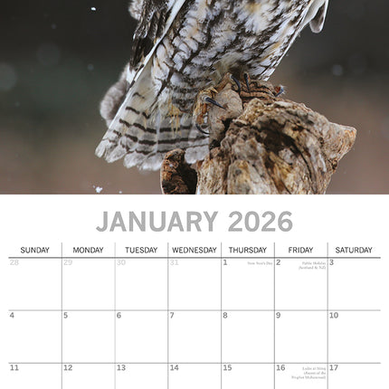 Owls - 2026 Square Wall Calendar Pets Animals 16 Months Premium Planner Gift