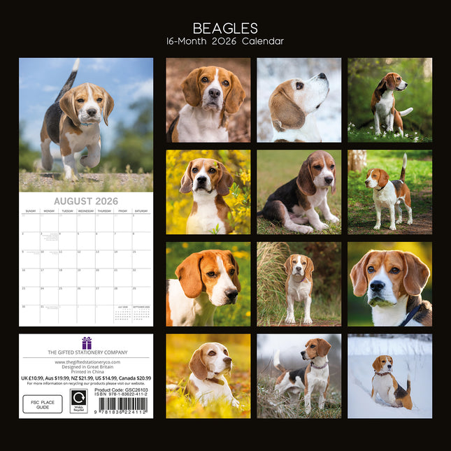 Beagles - 2026 Square Wall Calendar Dogs Puppies Pets Animals 16 Months Planner
