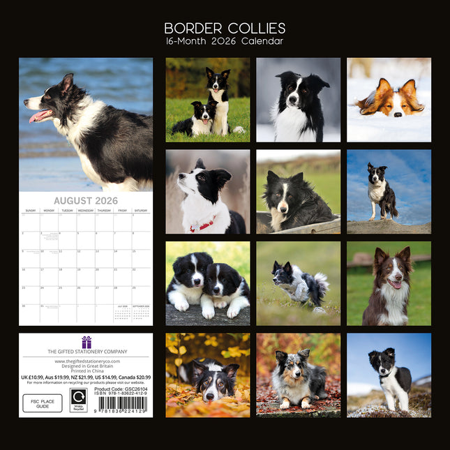 Border Collies 2026 Square Wall Calendar Dogs Puppies Pets Animals Photo Planner