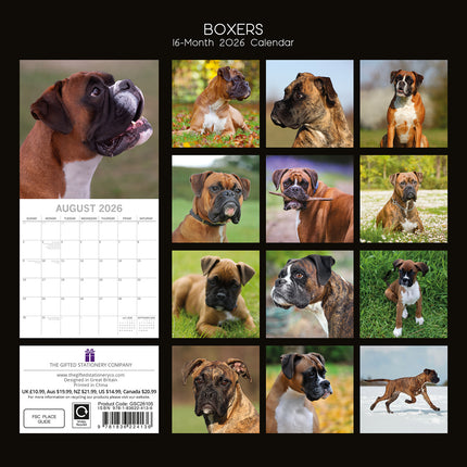 Boxers - 2026 Square Wall Calendar Dogs Puppies Pets Animals 16 Months Planner