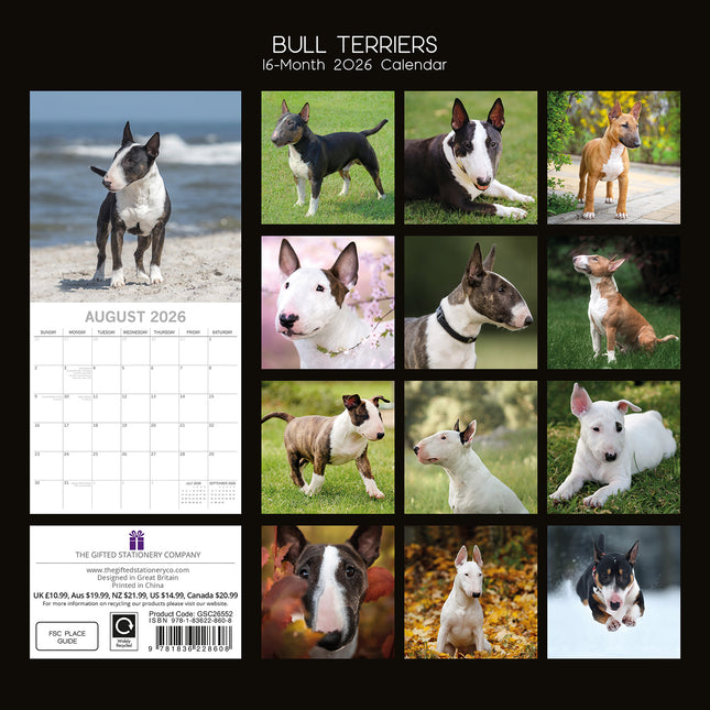 Bull Terriers 2026 Square Wall Calendar Dogs Puppies Pets Animals Photos Planner