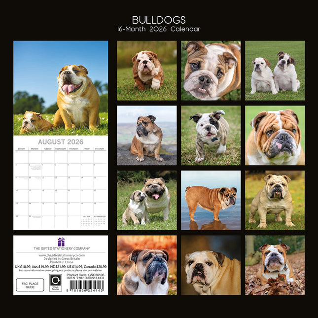 Bulldogs - 2026 Square Wall Calendar Dogs Puppies Pets Animals 16 Months Planner