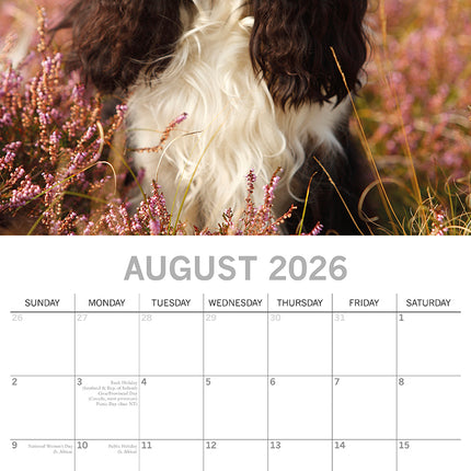 Cavalier King Charles Spaniels - 2026 Square Wall Calendar Dogs Puppies Planner