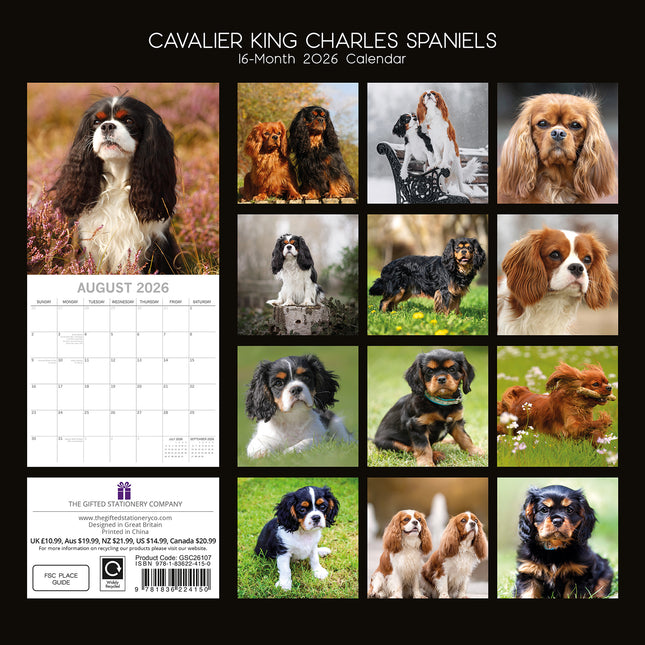 Cavalier King Charles Spaniels - 2026 Square Wall Calendar Dogs Puppies Planner