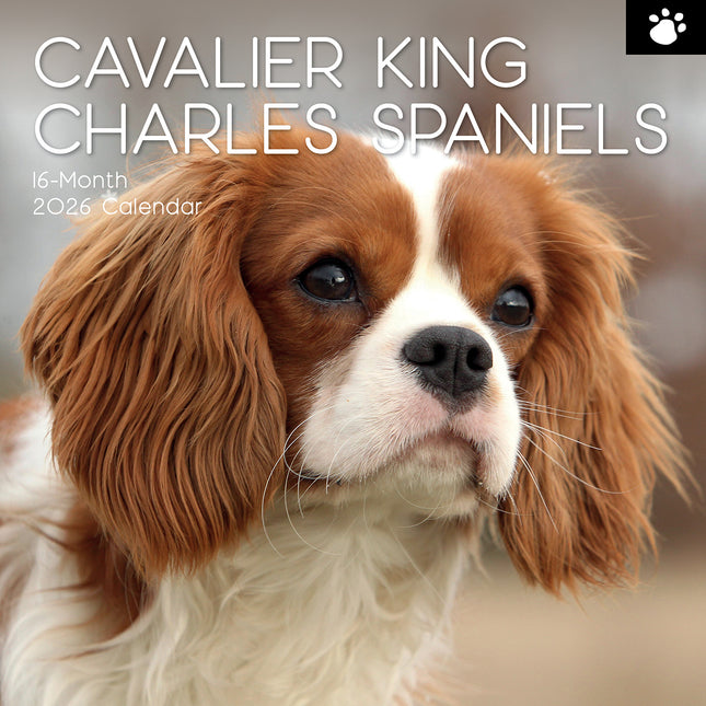 Cavalier King Charles Spaniels - 2026 Square Wall Calendar Dogs Puppies Planner