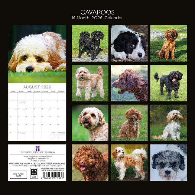 Cavapoos - 2026 Square Wall Calendar Dogs Puppies Pets Animals 16 Months Planner