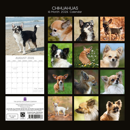 Chihuahuas 2026 Square Wall Calendar Dogs Puppies Pets Animals 16 Months Planner