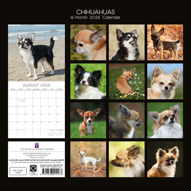 Chihuahuas 2026 Square Wall Calendar Dogs Puppies Pets Animals 16 Months Planner