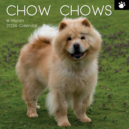 Chow Chow - 2026 Square Wall Calendar Dogs Puppies Pets Animals 16 Month Planner