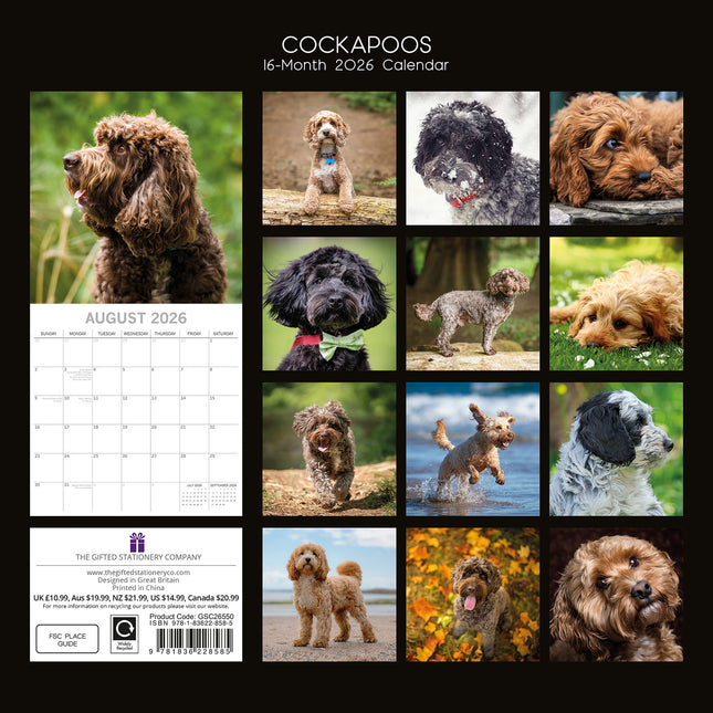 Cockapoos - 2026 Square Wall Calendar Dogs Puppies Pets Animals 16 Month Planner