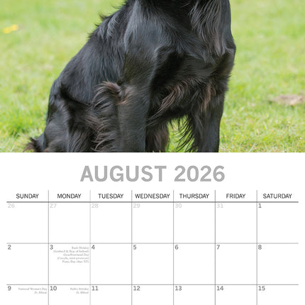 Cocker Spaniels 2026 Square Wall Calendar Dogs Puppies Pets Animals Planner Gift