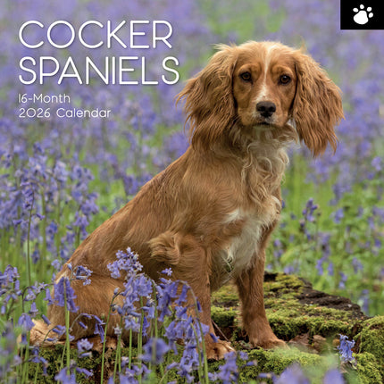 Cocker Spaniels 2026 Square Wall Calendar Dogs Puppies Pets Animals Planner Gift