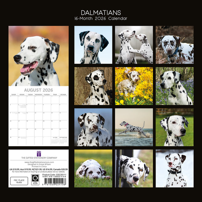 Dalmatians 2026 Square Wall Calendar Dogs Puppies Pets Animals 16 Months Planner
