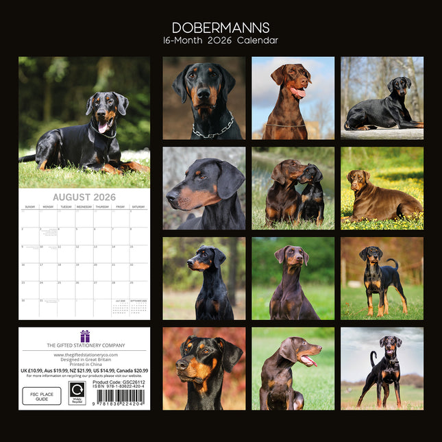 Dobermans - 2026 Square Wall Calendar Dogs Puppies Pets Animals 16 Month Planner