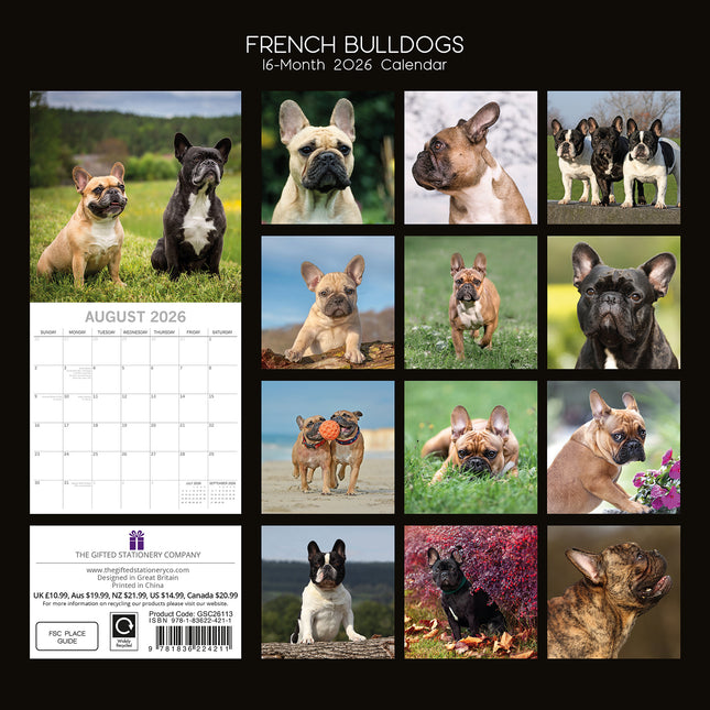 French Bulldogs 2026 Square Wall Calendar Dogs Puppies Pets Animals Planner Gift