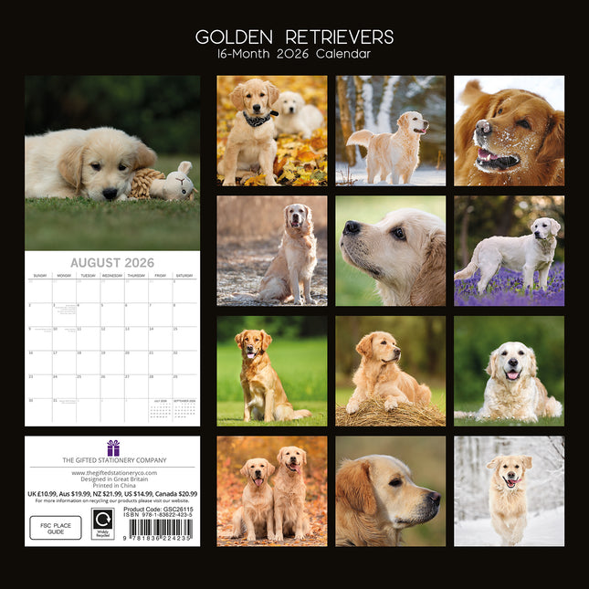 Golden Retrievers - 2026 Square Wall Calendar Dogs Puppies Pets Animals Planner