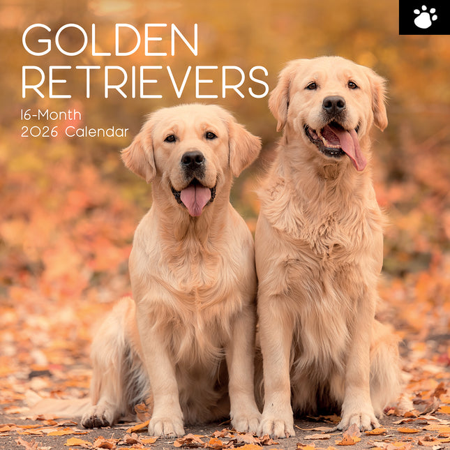 Golden Retrievers - 2026 Square Wall Calendar Dogs Puppies Pets Animals Planner