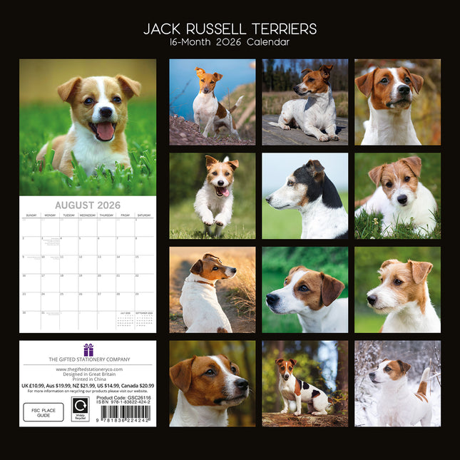 Jack Russells 2026 Square Wall Calendar Dogs Puppies Pets Animals Photos Planner