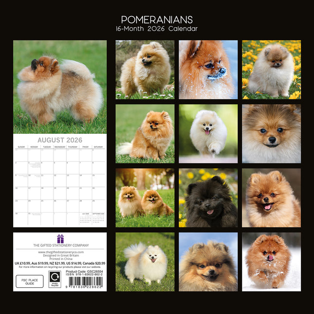 Pomeranian 2026 Square Wall Calendar Dogs Puppies Pets Animals 16 Months Planner