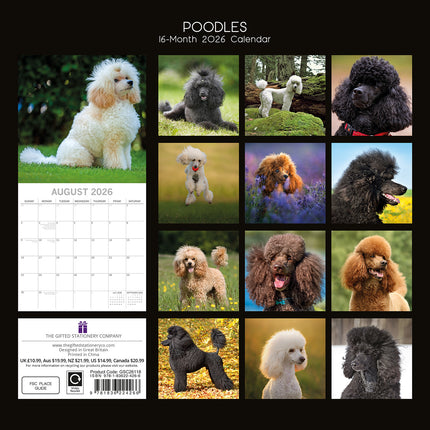 Poodles - 2026 Square Wall Calendar Dogs Puppies Pets Animals 16 Months Planner