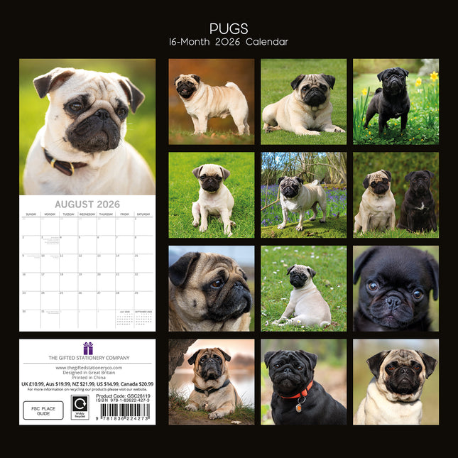 Pugs - 2026 Square Wall Calendar Dogs Puppies Pets Animals New 16 Months Planner