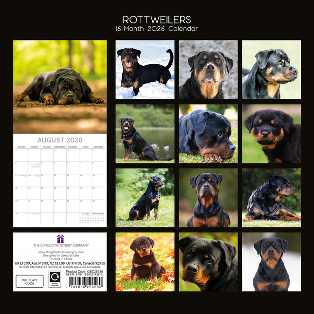Rottweilers 2026 Square Wall Calendar Dogs Puppies Pets Animals 16 Month Planner