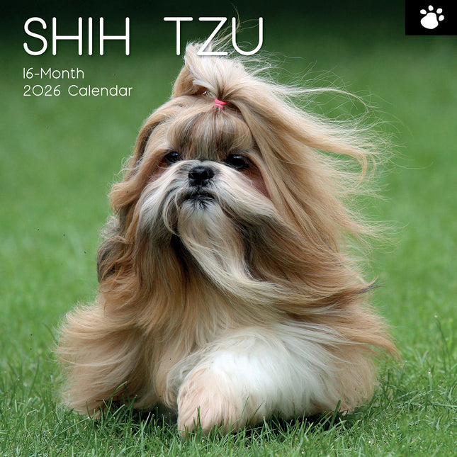 Shih Tzu - 2026 Square Wall Calendar Dogs Puppies Pets Animals 16 Months Planner