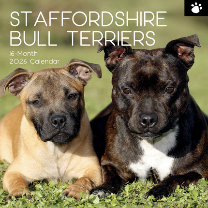 Staffordshire Bull Terriers 2026 Square Wall Calendar Dogs Puppies Pets Planner