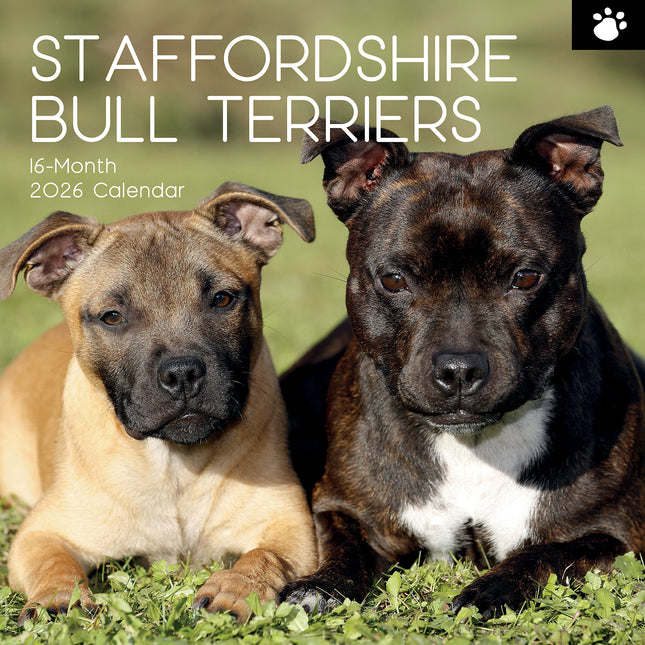 Staffordshire Bull Terriers 2026 Square Wall Calendar Dogs Puppies Pets Planner