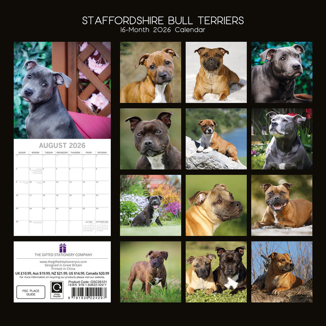 Staffordshire Bull Terriers 2026 Square Wall Calendar Dogs Puppies Pets Planner