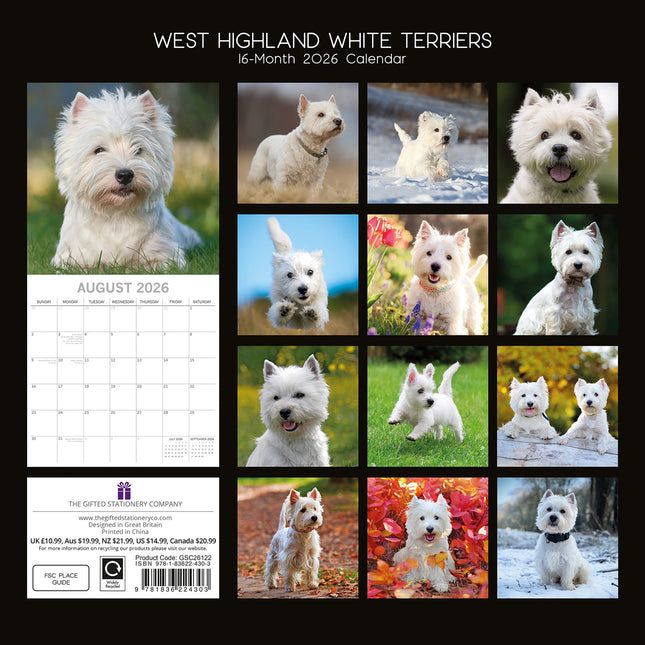 West Highland White Terriers 2026 Square Wall Calendar Dogs Puppies Pets Planner