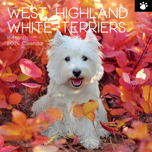 West Highland White Terriers 2026 Square Wall Calendar Dogs Puppies Pets Planner