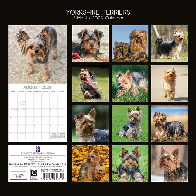 Yorkshire Terriers - 2026 Square Wall Calendar Dogs Puppies Pets Animals Planner