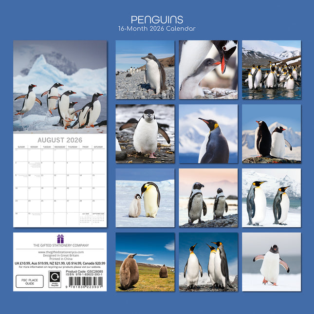 Penguins - 2026 Square Wall Calendar Pets Animals 16 Months Premium Planner Gift