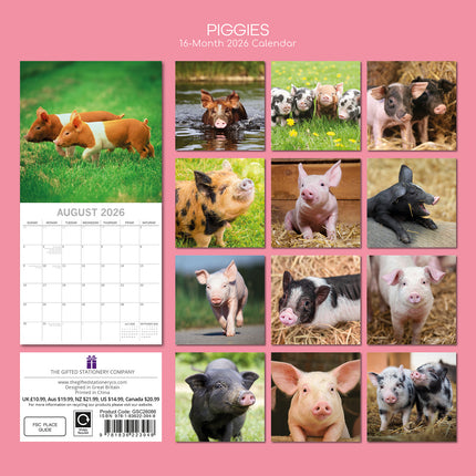 Piggies - 2026 Square Wall Calendar Pets Animals 16 Months Premium Planner Gift