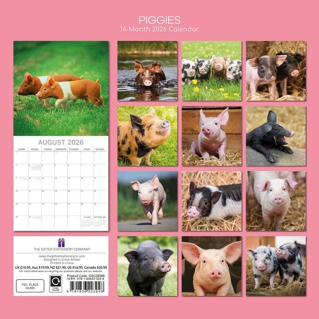 Piggies - 2026 Square Wall Calendar Pets Animals 16 Months Premium Planner Gift
